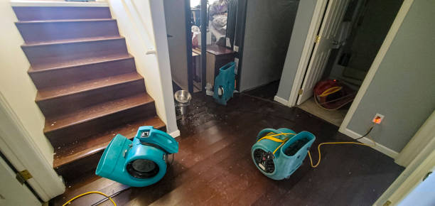 Best Ceiling water damage repair  in South Wallins, KY