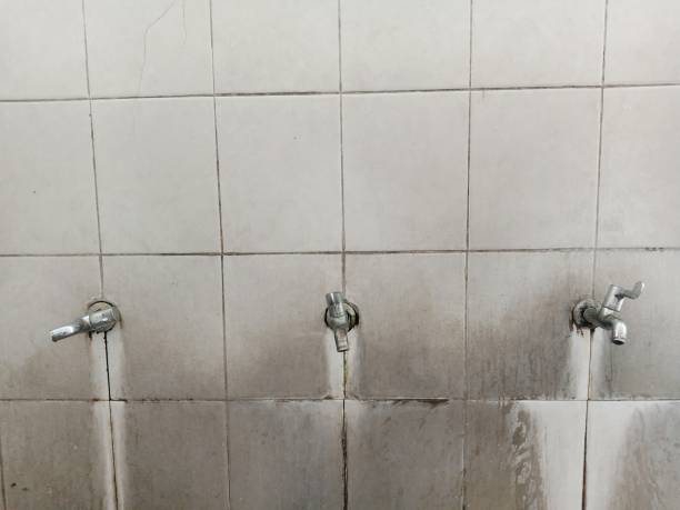  South Wallins, KY Water damage restoration Pros