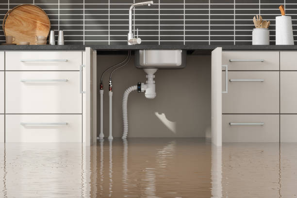 Water damage restoration experts in KY